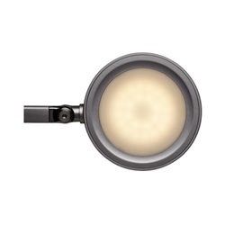 MAUL Tischleuchte MAULgrace colour vario 8205090 LED 6W schwarz