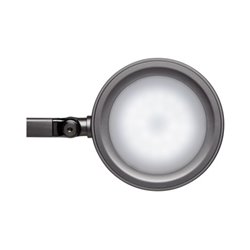 MAUL Tischleuchte MAULgrace colour vario 8205090 LED 6W schwarz