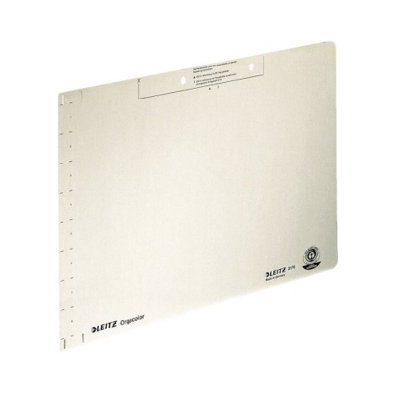 Leitz Einlegeblatt OC 21780011 chamois