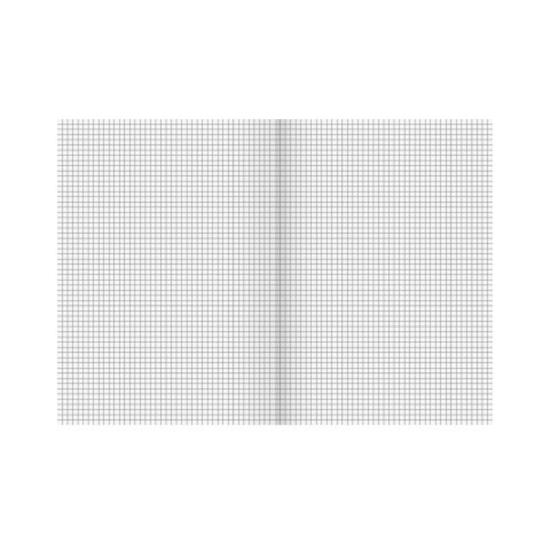 BRUNNEN Schulheft 104432202 DIN A4 32Blatt kariert