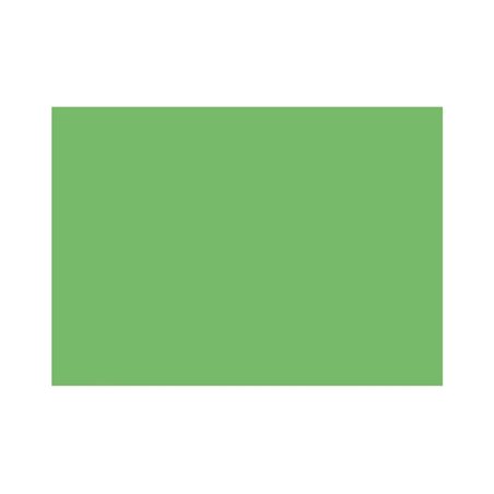 HEYDA Tonpapier 204711253 50x70cm 130g mittelgrün