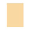 HEYDA Tonpapier 204711212 50x70cm 130g beige