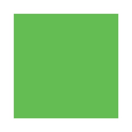 HEYDA Fotokarton 204716254 50x70 cm 300g/qm grasgrün