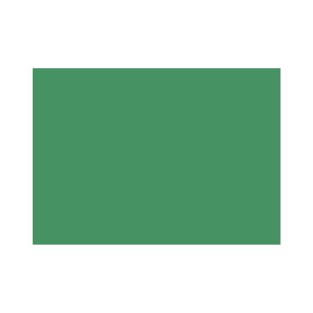 HEYDA Tonpapier 204711257 50x70cm 130g laubgn