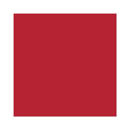 HEYDA Fotokarton 204716225 50x70 cm 300g/qm tulpenrot