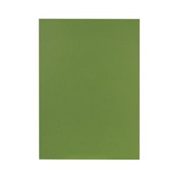 Falken Aktendeckel 80001167 23x31,8cm gefalzt Karton 250g gn