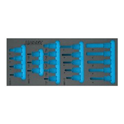 HAZET 2-Komponenten Weichschaum-Einlage 172x392mm