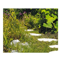 Einhell Akku-Gras- und Strauchschere GE-CG 12 Li WT