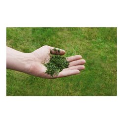 Einhell Benzin-Rasenmäher GC-PM 51/3 S HW