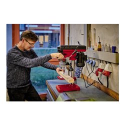 Einhell Säulenbohrmaschine TC-BD 450