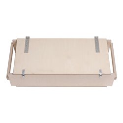 Roller Transportkiste mit Tragegriffen