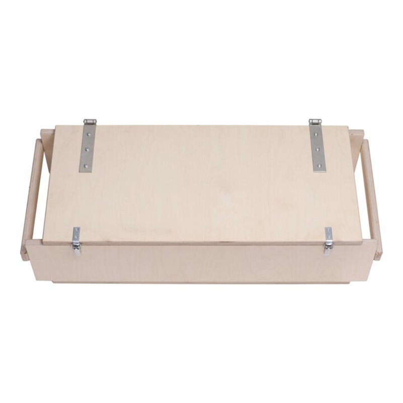 Roller Transportkiste mit Tragegriffen