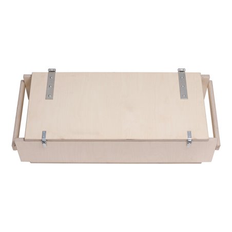 Roller Transportkiste mit Tragegriffen