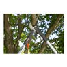 GARDENA SmartCut Ratschen-Astschere