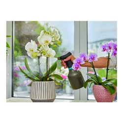 GARDENA Drucksprüher 5 L Comfort + Pumpsprüher 0,75 L - Aktion
