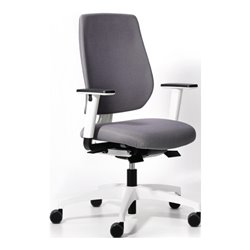 Bürodrehstuhl Synchrontechnik platingrau 390-510mm Armlehnen Trgf.110kg DAUPHIN