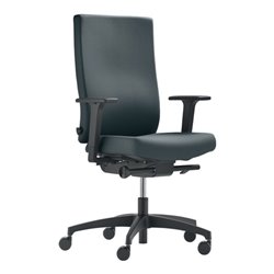 Bürodrehstuhl Synchrontechnik grau 400-520mm m.Armlehnen Trgf.110kg DAUPHIN