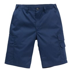 Fristads Shorts 2508 P154 (Herren)