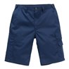 Fristads Shorts 2508 P154 (Herren)