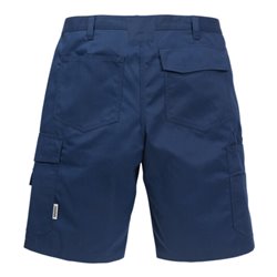 Fristads Shorts 2508 P154 (Herren)