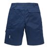 Fristads Shorts 2508 P154 (Herren)