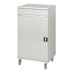 Rau Edelstahl-Computer-Schrank M65 520 mm