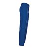 Planam Cargo-Bundhose BW 290 kornblau