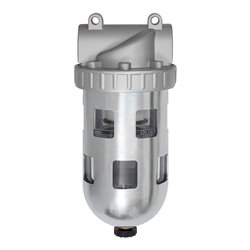 Filter Standard G 1 1/4mit Schutzkorb