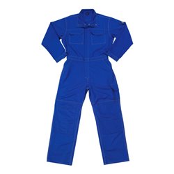 Mascot Kombination Akron kornblau