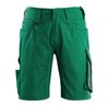 Mascot Shorts Stuttgart grün/schwarz