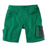 Mascot Shorts Stuttgart grün/schwarz