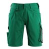 Mascot Shorts Stuttgart grün/schwarz