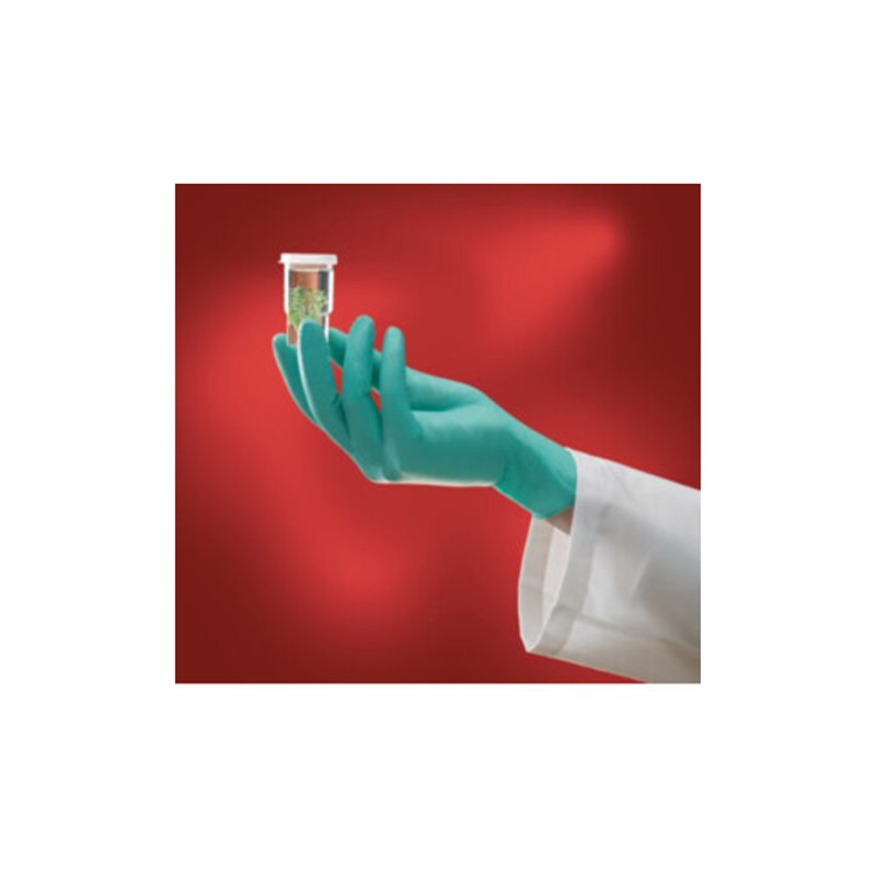 Ansell Neopren-Einmalhandschuhe NeoTouch 25-101 puderfrei grün