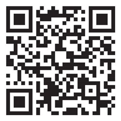 HAZET Injektor-Steckschlüssel-Einsatz