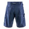 Fristads Shorts 254 BPC (Herren)