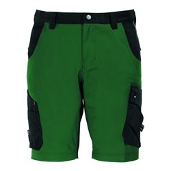 FHB Bermuda-Shorts Theo 130530 grün/schwarz