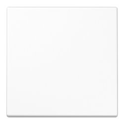 Jung Funk-Wandsender aws 2-kanalig ENO LS 990 WW