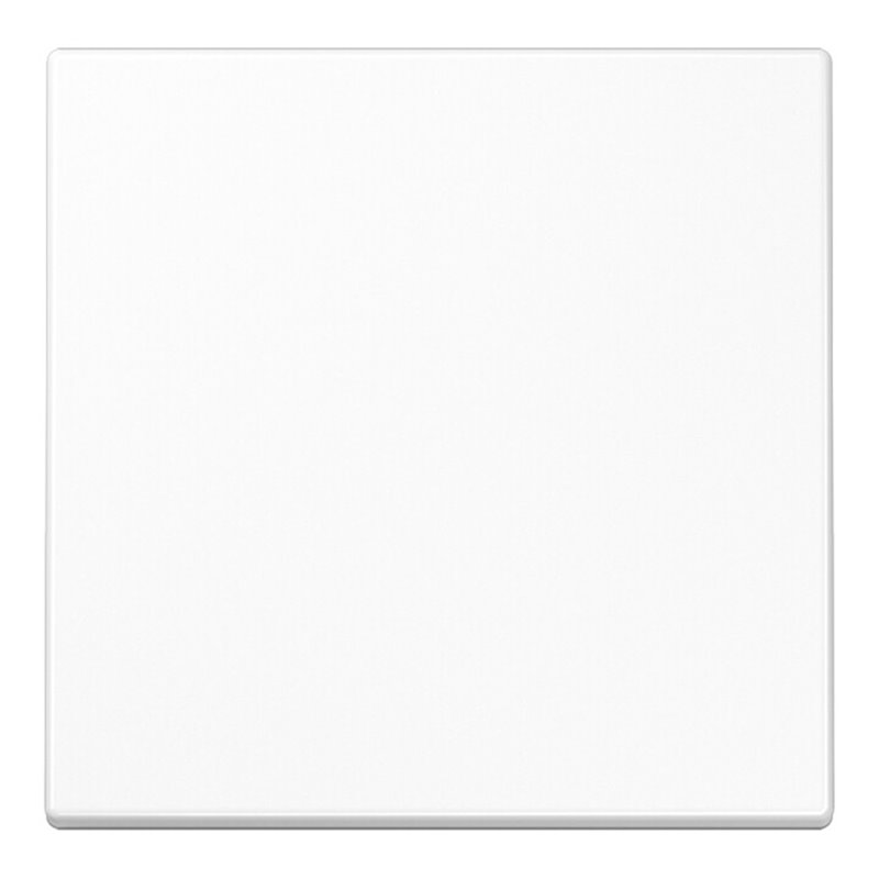 Jung Funk-Wandsender aws 2-kanalig ENO LS 990 WW