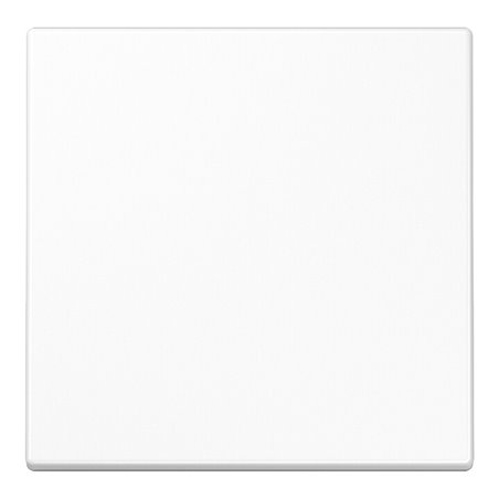 Jung Funk-Wandsender aws 2-kanalig ENO LS 990 WW