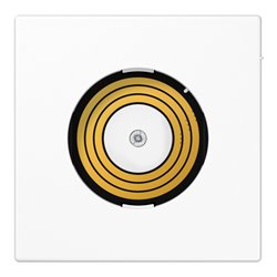 Jung Abdeckung PL LS DMS WW