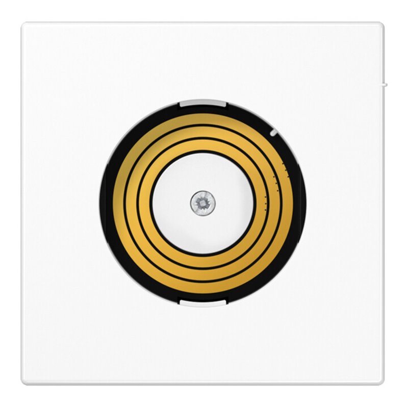 Jung Abdeckung PL LS DMS WW