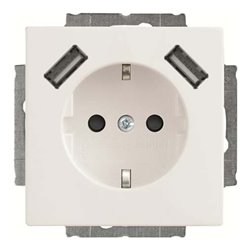 Busch-Jaeger SCHUKO-2x USB Steckdose 20 EUCB2USB-84