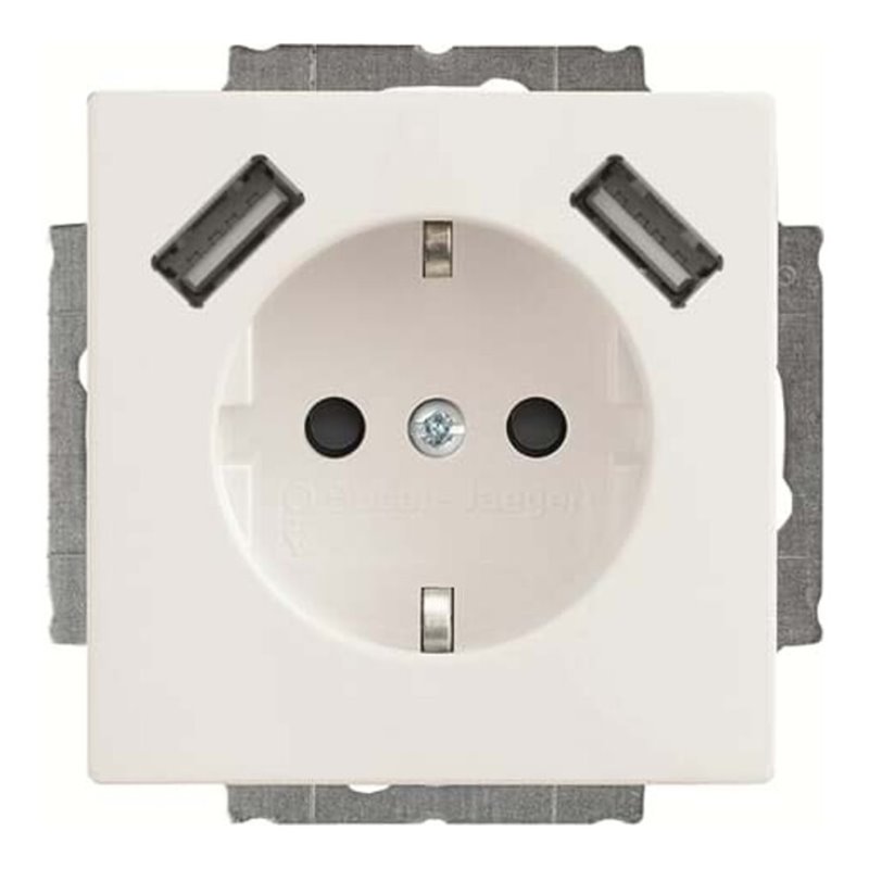 Busch-Jaeger SCHUKO-2x USB Steckdose 20 EUCB2USB-84