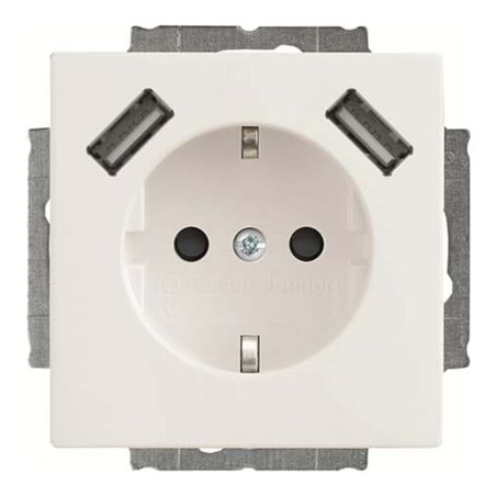 Busch-Jaeger SCHUKO-2x USB Steckdose 20 EUCB2USB-84