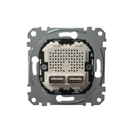 Merten USB-Ladestation-Einsatz MEG4366-0100