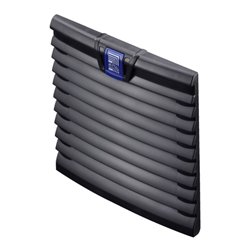 Rittal TopTherm Austrittsfilter für SK 3240. /3241. 3240.200