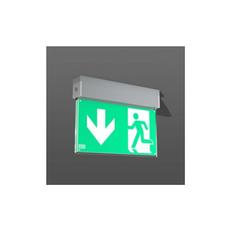 RZB LED-Notleuchte 671985.004.2