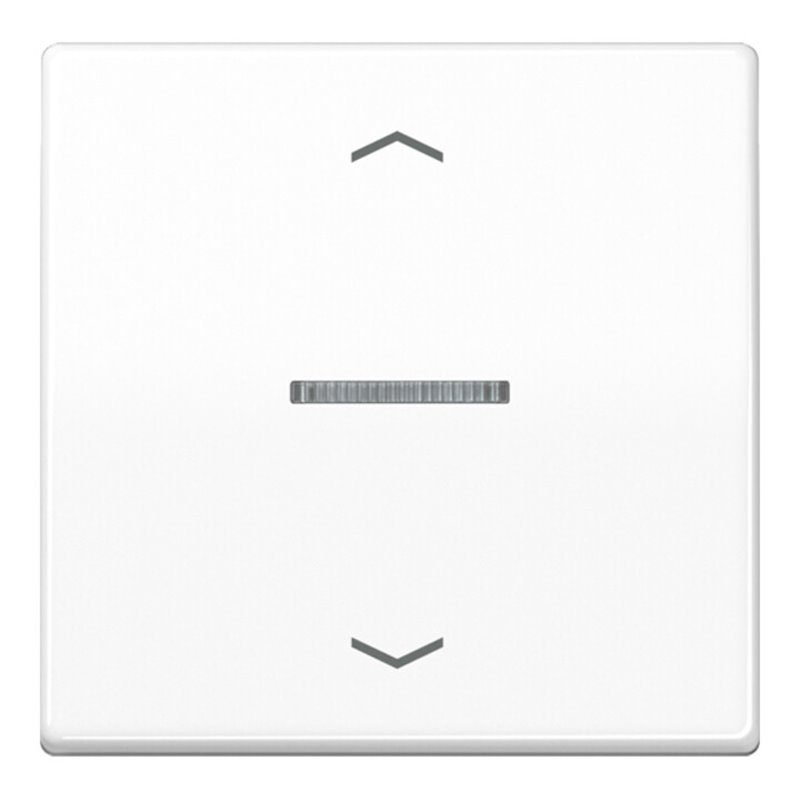 Jung Abdeckung Jal-Manag. alpws m. Funkempfänger FM AS 5232 WW