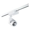 Brumberg Leuchten LED-Schienenstrahler 38Gr.,3000K, ws 88377173