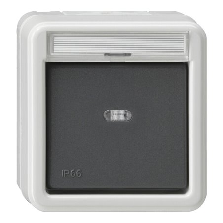Gira Wechselschalter gr AP-WD 010631